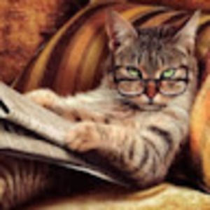 Meet your Posher, Vesna